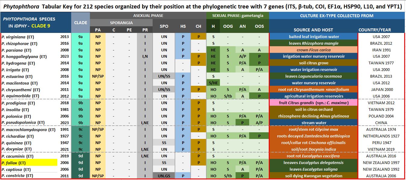    Phytophthora  spp. in subclade 9d:  Morphological Tabular key (PDF) and Tabular key legends (PDF) in IDphy2 KEY SECTION. Notice the data of   P. fallax  Ex-type CBS 119109 = Samp;T BL 63 . Gloria Abad, USDA Samp;T.
